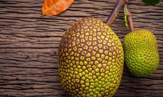 菠萝蜜核怎么吃法大全 菠萝蜜的核的吃法大全