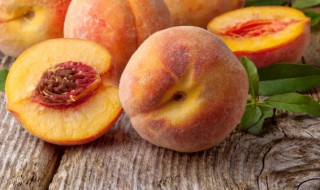 桃的组词（逃的组词）