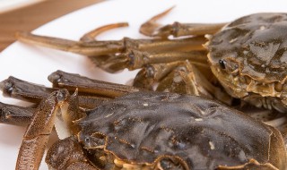 活螃蟹怎么保存过夜保温箱（活螃蟹怎么保存过夜家里）