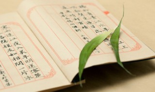 游隼怎么读 最快的鸟游隼怎么读