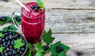 沙棘蓝莓汁有什么好处（沙棘蓝莓汁的功效）
