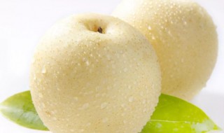 皇冠梨的功效与作用及禁忌（皇冠梨的功效与作用及禁忌症）