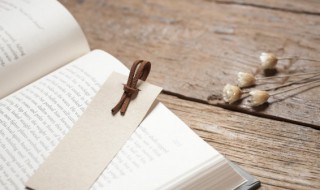 名缰利索的意思（名缰利索也做名缰利锁）