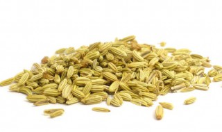 茴香的副作用和不良反应及使用禁忌 小茴香的副作用应及使用禁忌