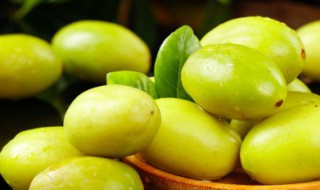 甜橄榄果的功效与作用（酸甜橄榄功效）