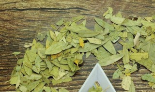 减脂叶的功效与作用 减脂叶的功效与作用点