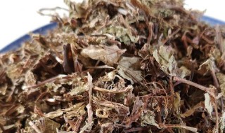 头花蓼的功效与作用及副作用（头花蓼的作用和功效）