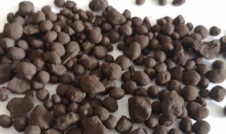 中药无名异的功效与作用（无名是什么中药）