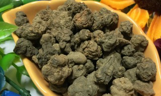 夏天无的功效作用与副作用(夏天无的功效与作用)