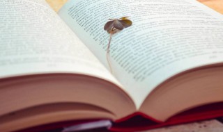 洒脱的个性签名一句话 洒脱的个性签名一句话怎么写