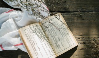 个中人的意思(个中人的意思解释)