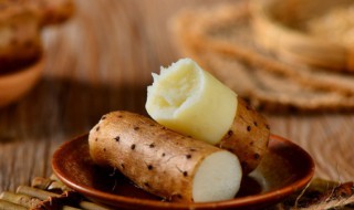 黄金山药的功效与作用（黄金山药有什么好处）