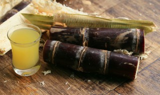 甘蔗种植方法和管理(甘蔗种植技术与管理)