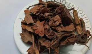 中药山棯根的功效与作用（矷山根六大功效以及使用方法）