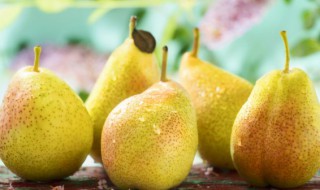 麻梨的功效和作用（麻梨果功效和作用及食用方法）