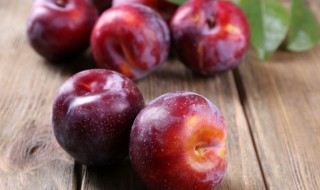 稠李子的功效（稠李子果的作用与功效与禁忌）