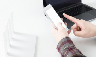 森系网名2个字可爱（森系网名2个字可爱男）