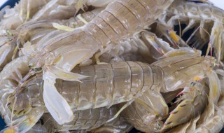 虾爬子做法 蒜香虾爬子做法