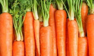 胡萝卜的禁忌（玉米加胡萝卜的禁忌）