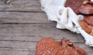 灵芝补什么 灵芝补什么都