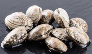 冷冻蛤蜊肉的做法（冷冻蛤蜊肉的做法大全）