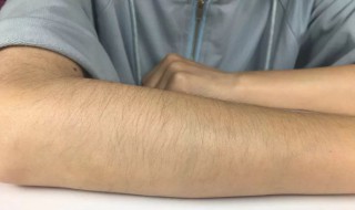 胳膊英语怎么读（胳膊英语怎么读arm）