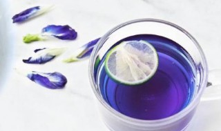 蝶豆花泡茶的副作用 蝶豆花泡茶的副作用是什么