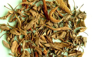 中药空青的功效与作用 中药空青的功效与作用及禁忌