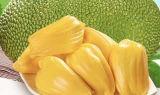 菠萝蜜能放多久啊（菠萝蜜能放多久啊保存）