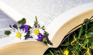 简洁有趣的网名（简洁有趣的网名男生）