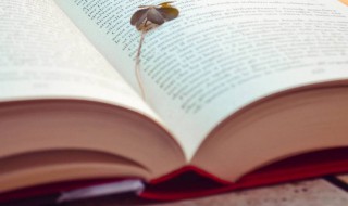 深文大义的意思（深文大义的意思和造句）