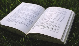 开山鼻祖的意思 开山鼻祖的意思解释词语