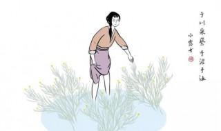 夙夜在公的意思(夙愿在公还是夙夜在公)