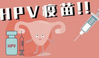 hpv疫苗打哪个部位 四价hpv疫苗打哪个部位
