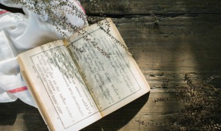 古文里寓意美好的名字 古诗词美好寓意的名字