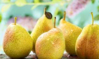 梨粥的做法（小米雪梨粥的做法）