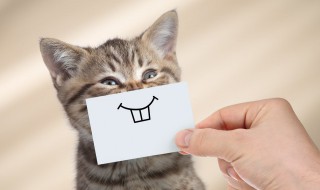 赞说说搞笑句子 赞说说的搞笑评论段子