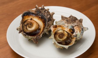 葱油海螺片的正宗做法(葱油海螺片的正宗做法窍门)