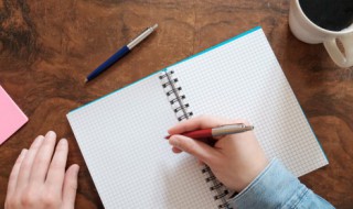 掌的组词 掌的组词语有哪些词语和拼音