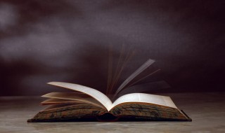 周颂噫嘻原文翻译 噫嘻原文及翻译