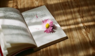 木兰花乙卯吴兴寒食原文翻译(木兰诗乙卯吴兴寒食)