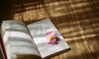 亻怎么读（隹怎么读）