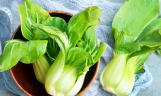 青菜种子怎么种 青菜种子怎么种植方法视频教程