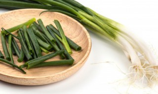 怎么种葱苗(怎么种葱苗的方法)