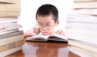 索字组词 索字组词造句