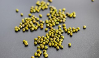 在家怎样发绿豆芽?做法 在家怎样发绿豆芽?做法大全