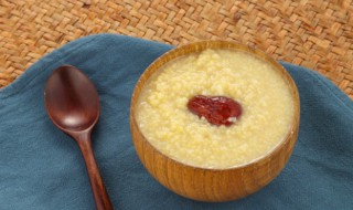 小米加什么补气血最快最好（小米和什么搭配补血）
