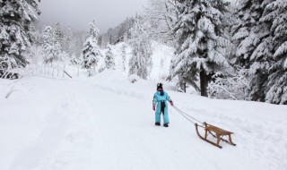 做梦梦到下雪是什么预兆 做梦梦到下雪是什么预兆女