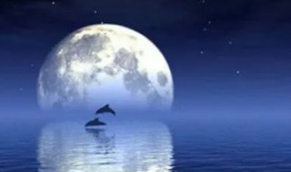 八月十五日夜湓亭望月原文翻译 唐白居易八月十五日夜湓亭望月译文