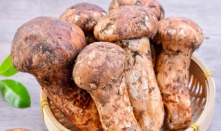 鲜松茸可以晒干保存吗（鲜松茸可以晒干保存吗怎么吃）